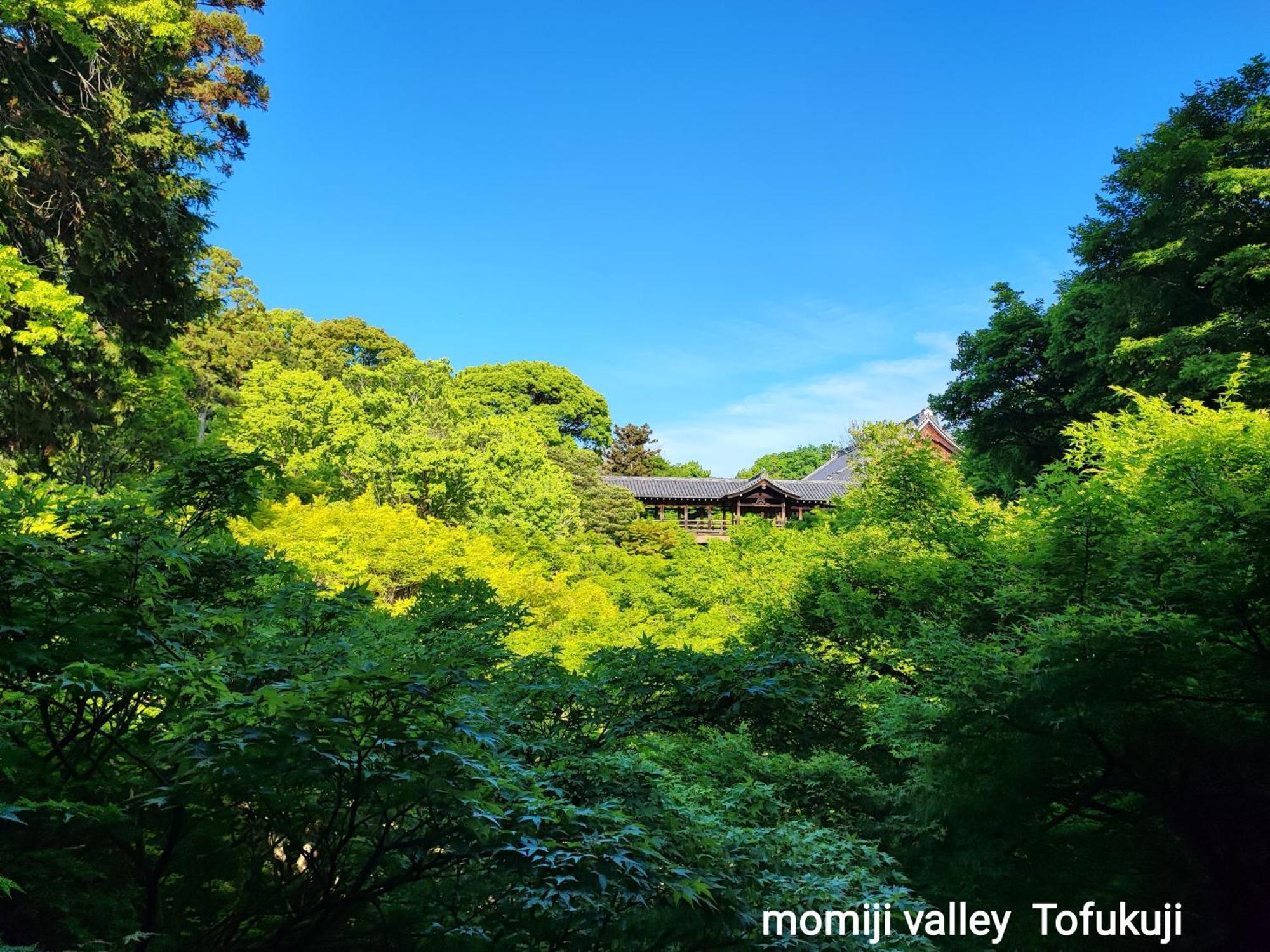 Walker House Kyoto 65 Square Meters Whole Villa Rent エクステリア 写真