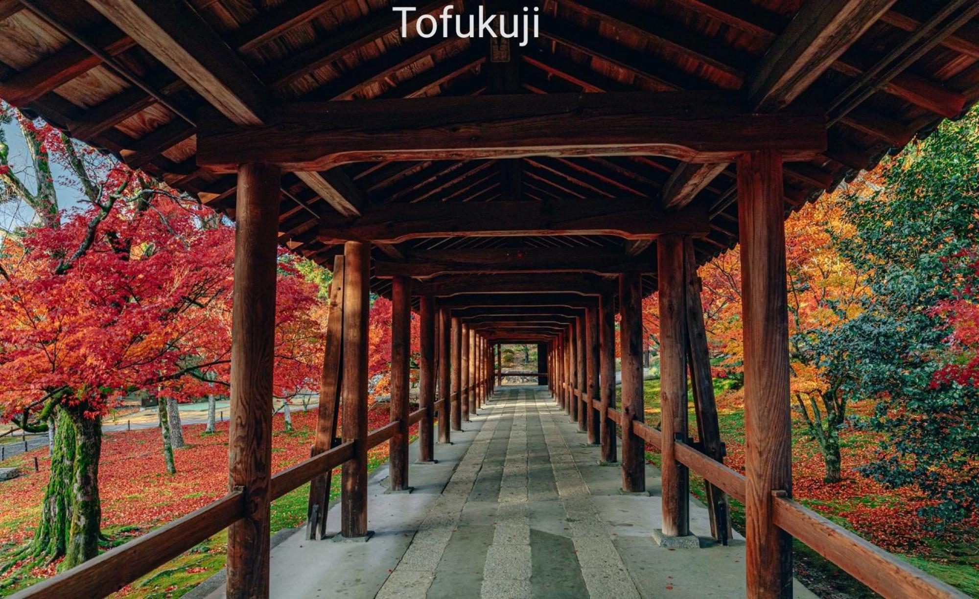 Walker House Kyoto 65 Square Meters Whole Villa Rent エクステリア 写真